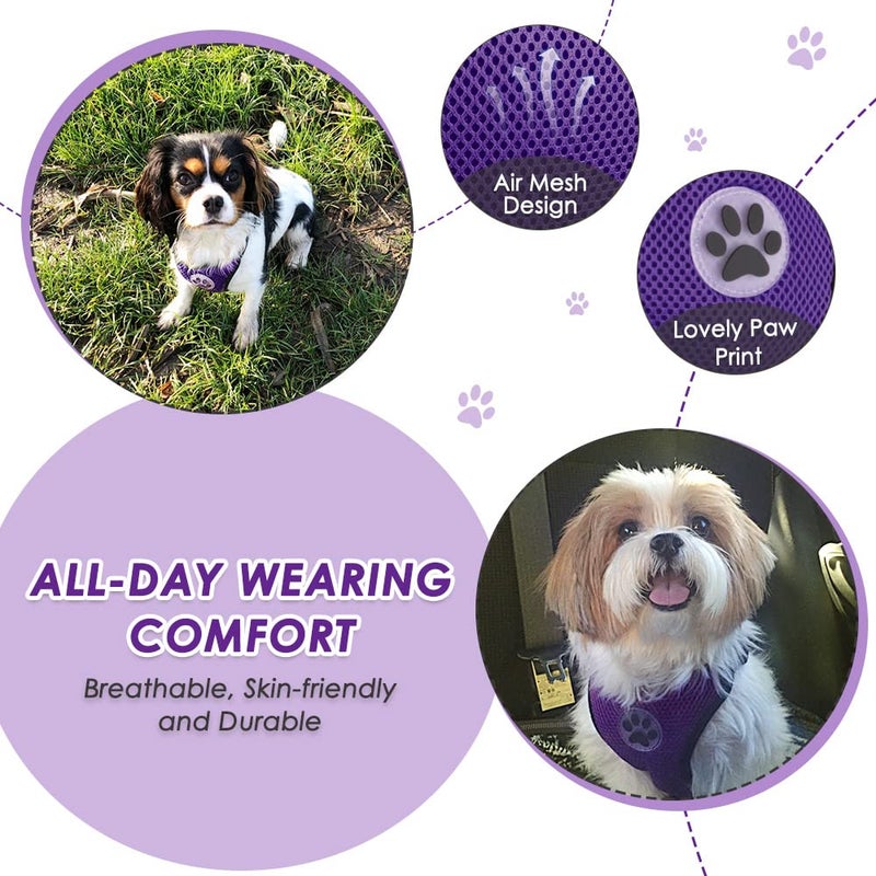 Lukovee Dog Seat Belt - Adjustable Dog Car Harness for Large, Medium, Small Dogs - Soft Padded & Breathable Mesh Dog Seatbelt with Vehicle Connector Strap (Purple Double Clip, X-Small) - Image 3